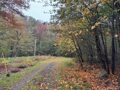 Little Ireland Road, Livingston Manor, NY 12758