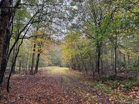 Little Ireland Road, Livingston Manor, NY 12758