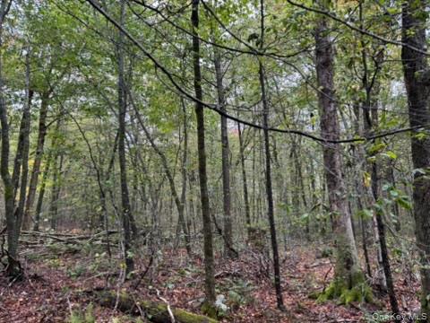 Little Ireland Road, Livingston Manor, NY 12758