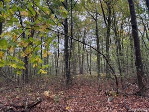 Little Ireland Road, Livingston Manor, NY 12758