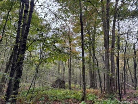 Little Ireland Road, Livingston Manor, NY 12758