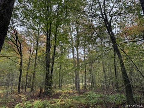 Little Ireland Road, Livingston Manor, NY 12758