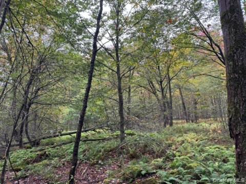 Little Ireland Road, Livingston Manor, NY 12758