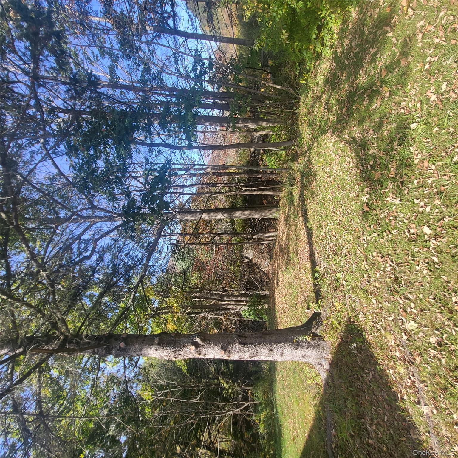 37 Friendship Manor Road, Pine Hill, NY 12465