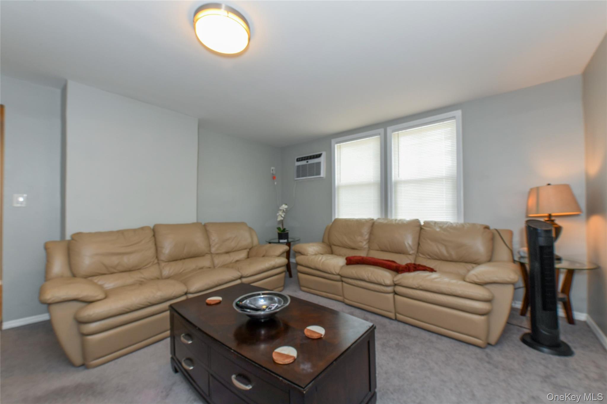 10109 97th Avenue, Ozone Park, NY 11416