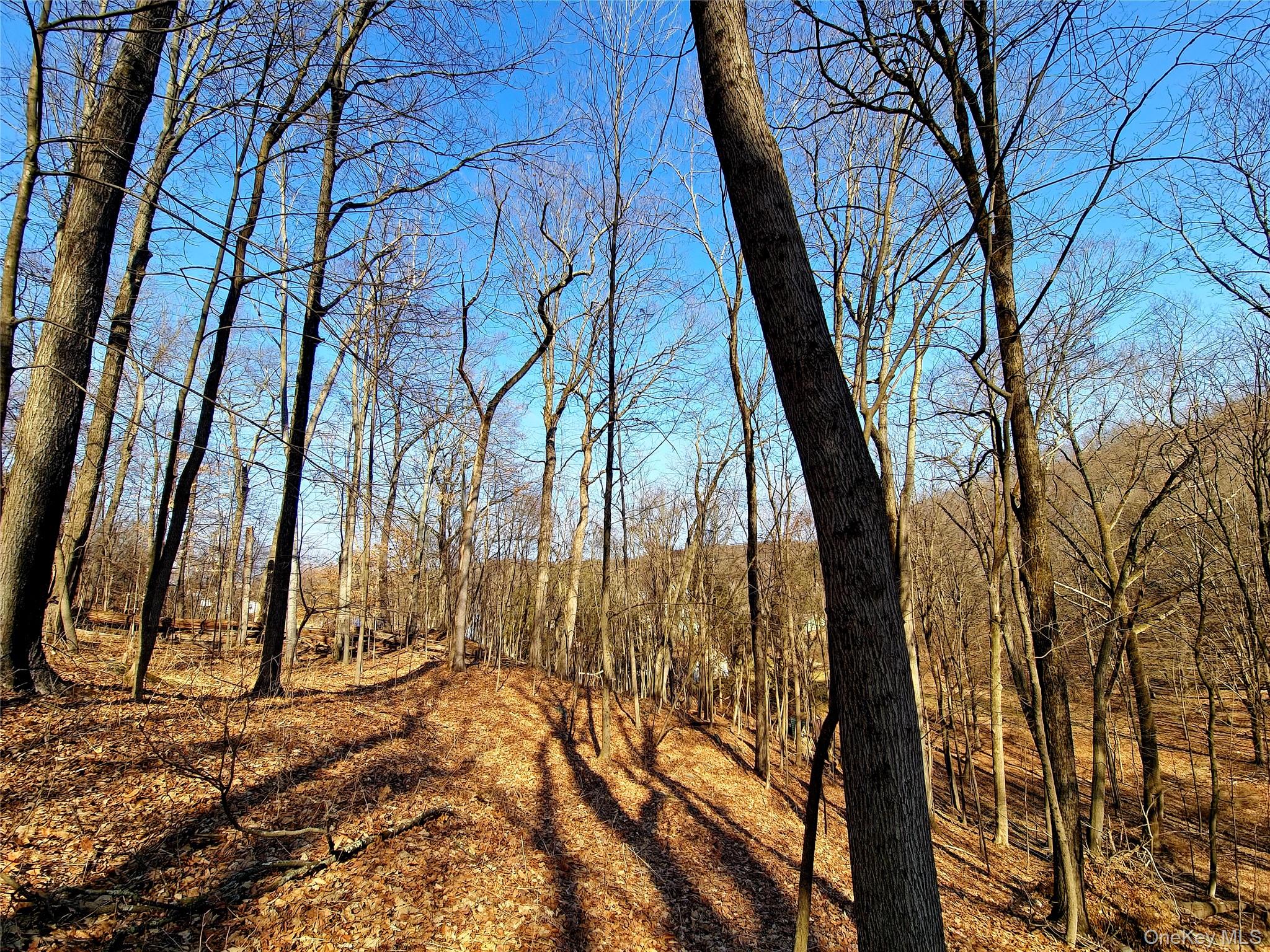 White Street, Highland, NY 12528