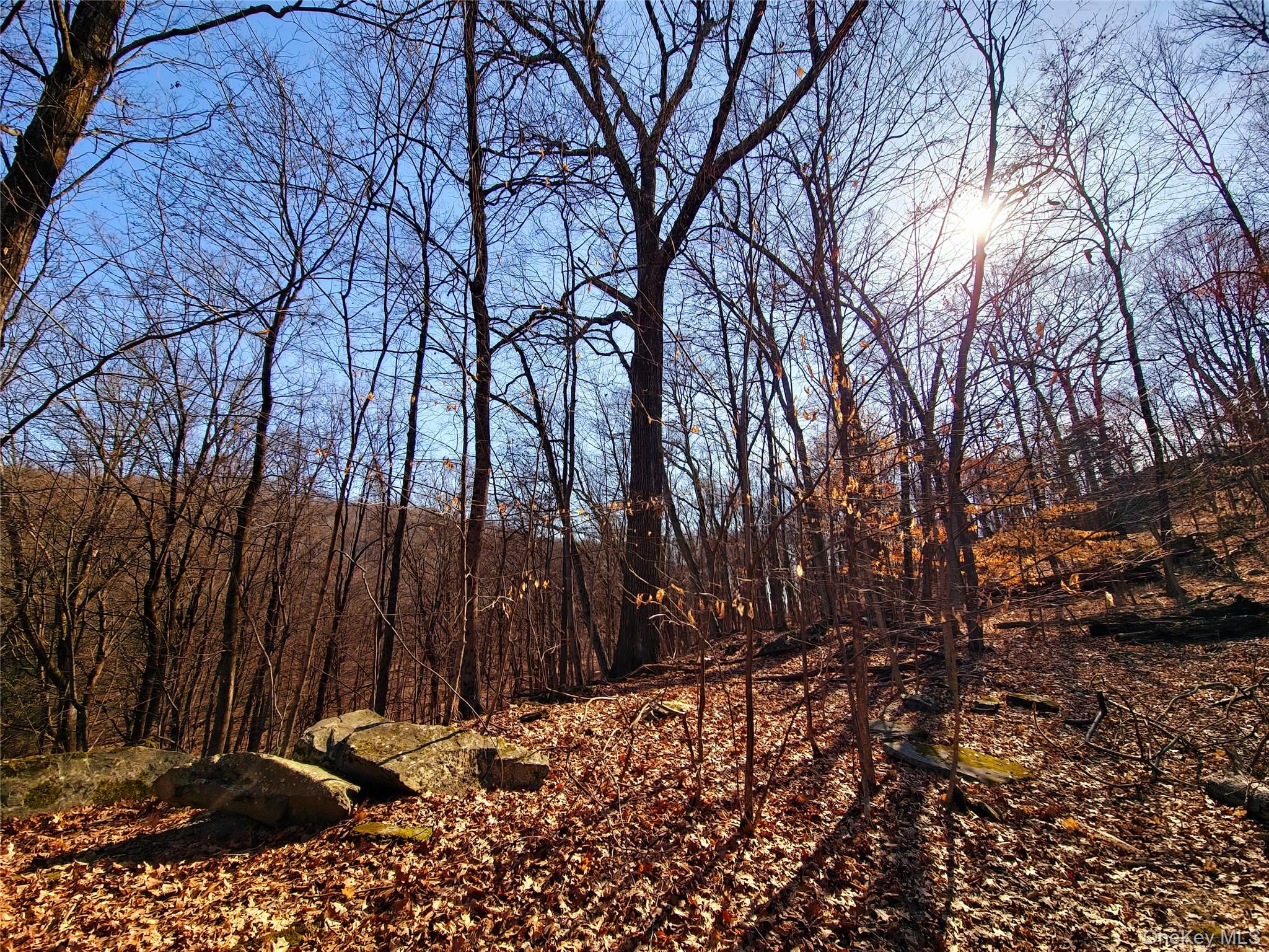 White Street, Highland, NY 12528