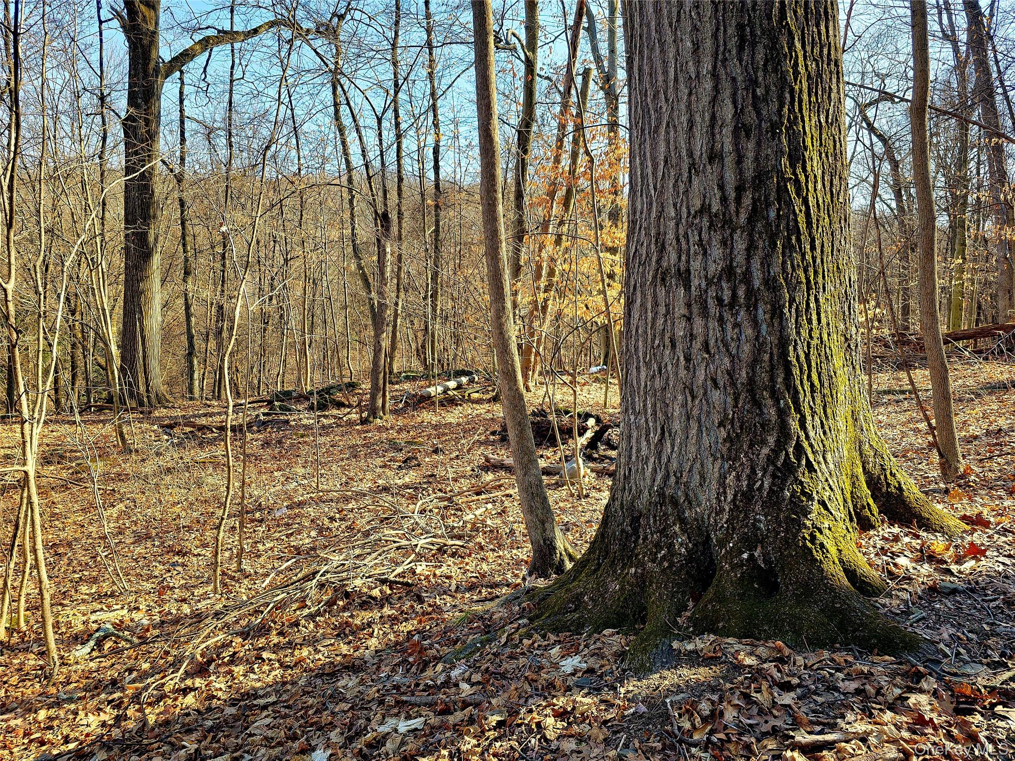 White Street, Highland, NY 12528