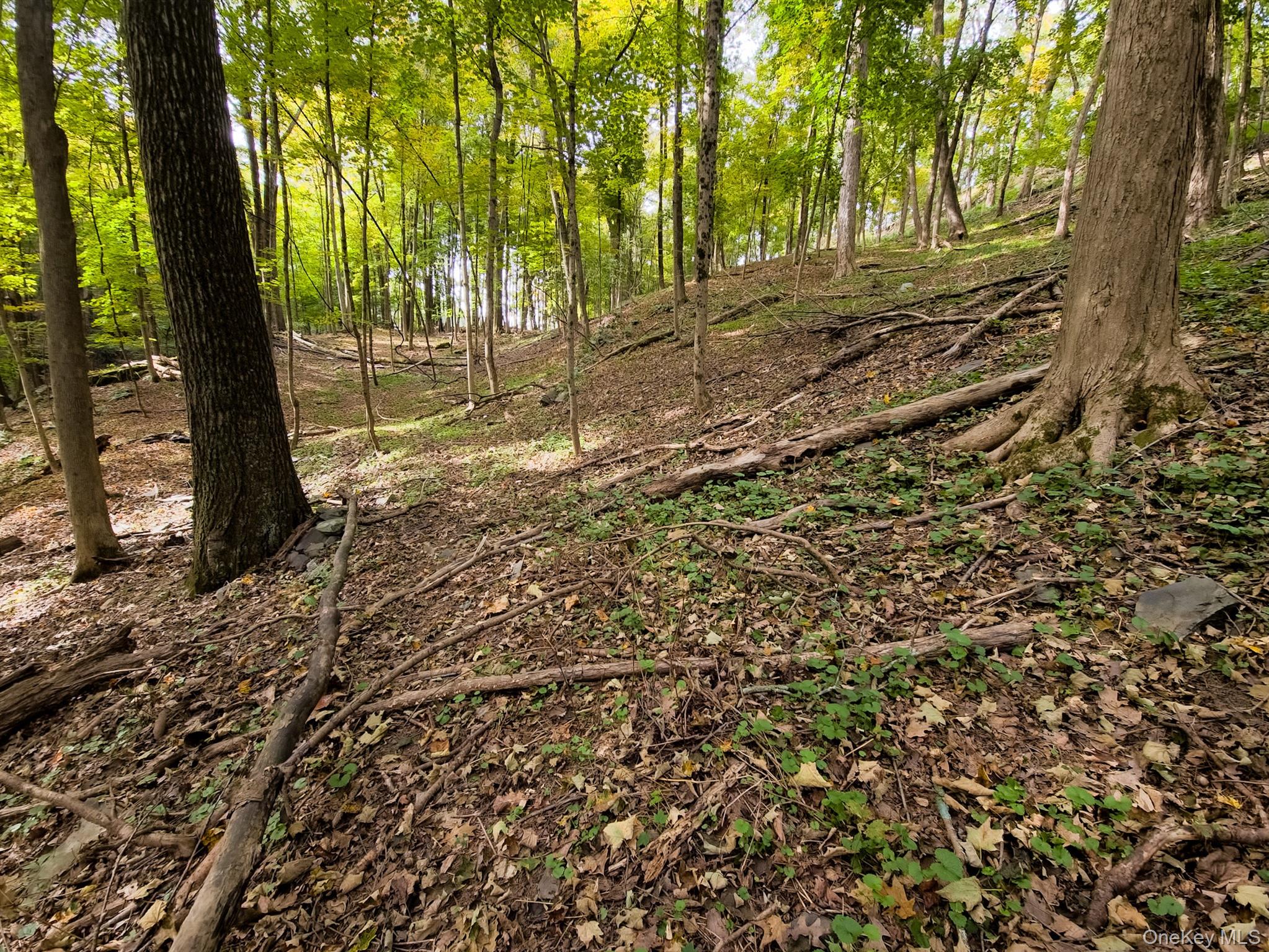 White Street, Highland, NY 12528