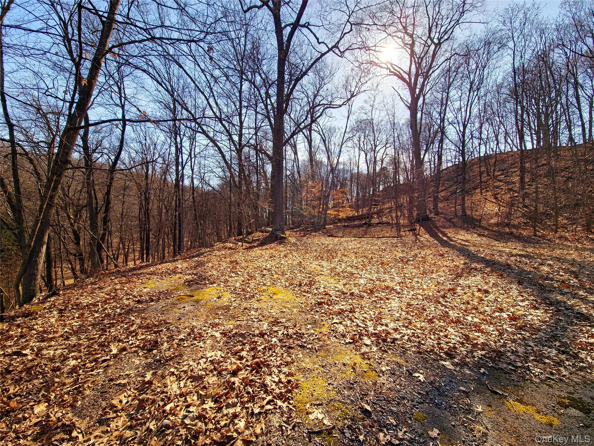 White Street, Highland, NY 12528