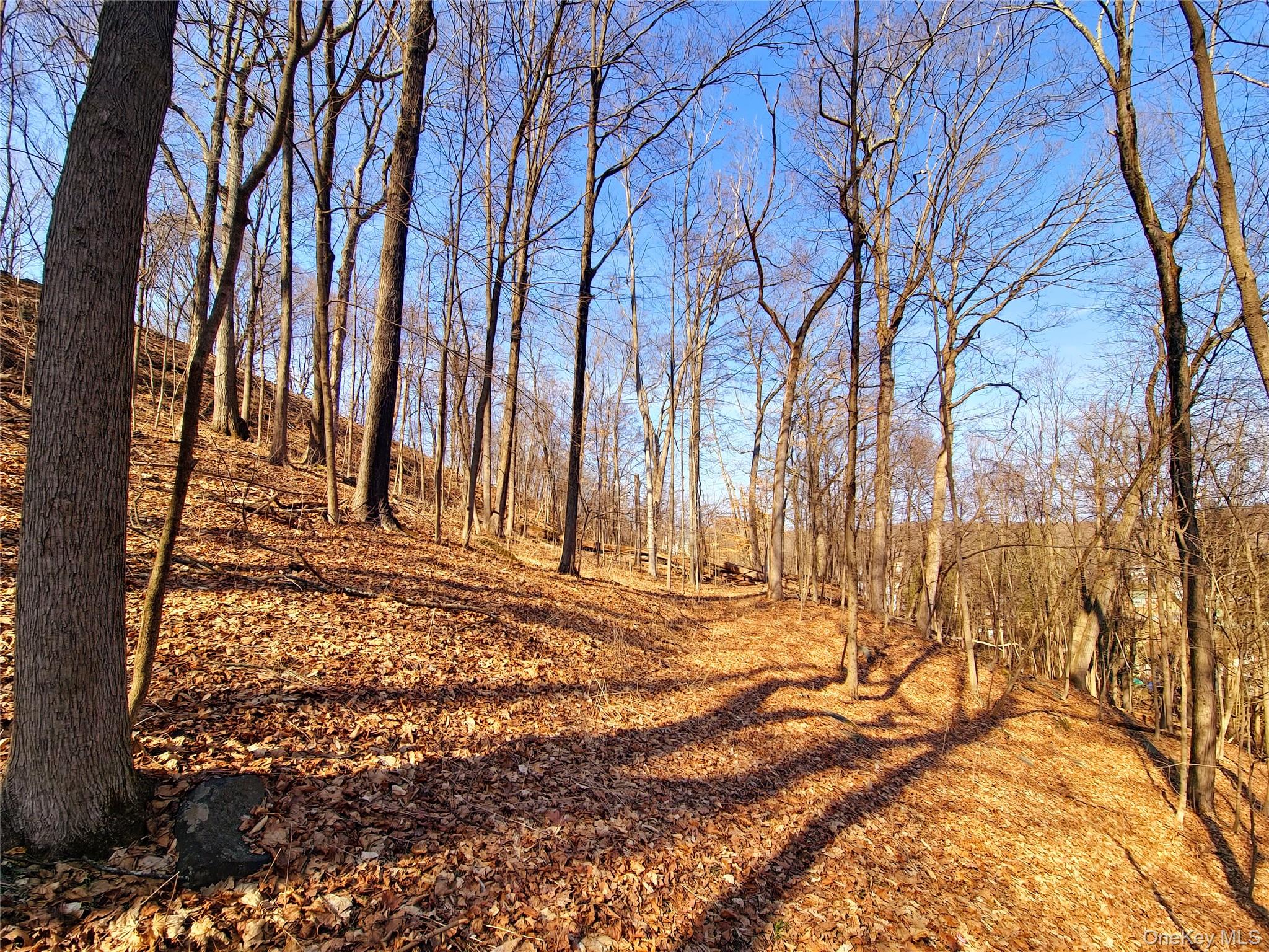 White Street, Highland, NY 12528