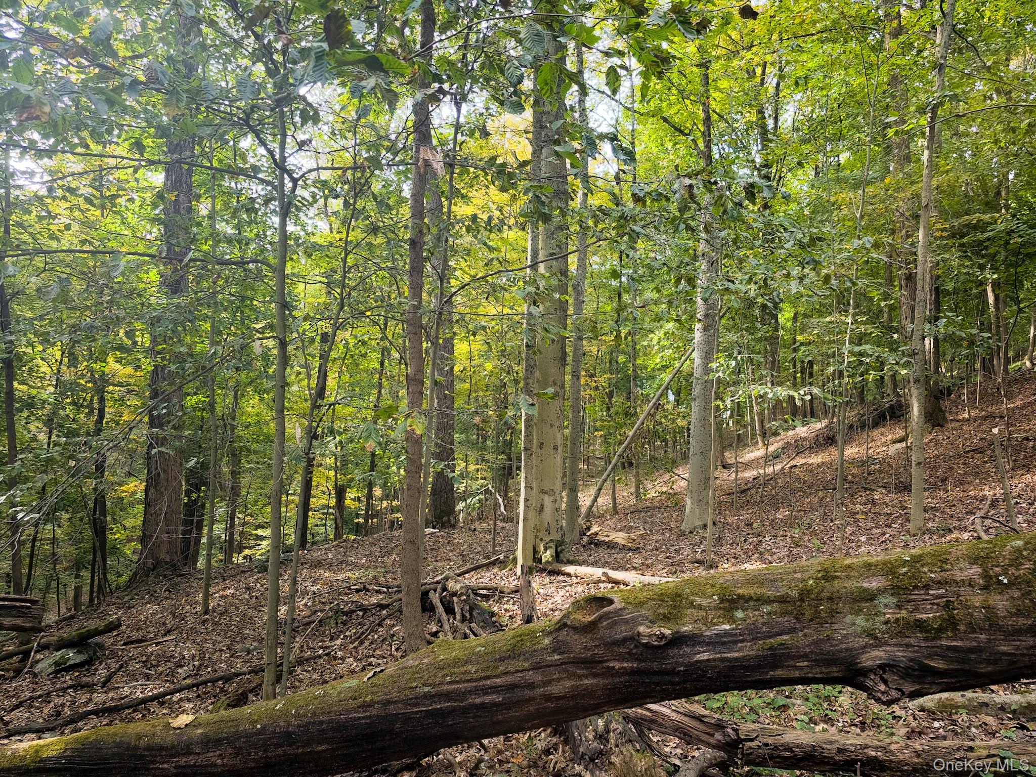 White Street, Highland, NY 12528