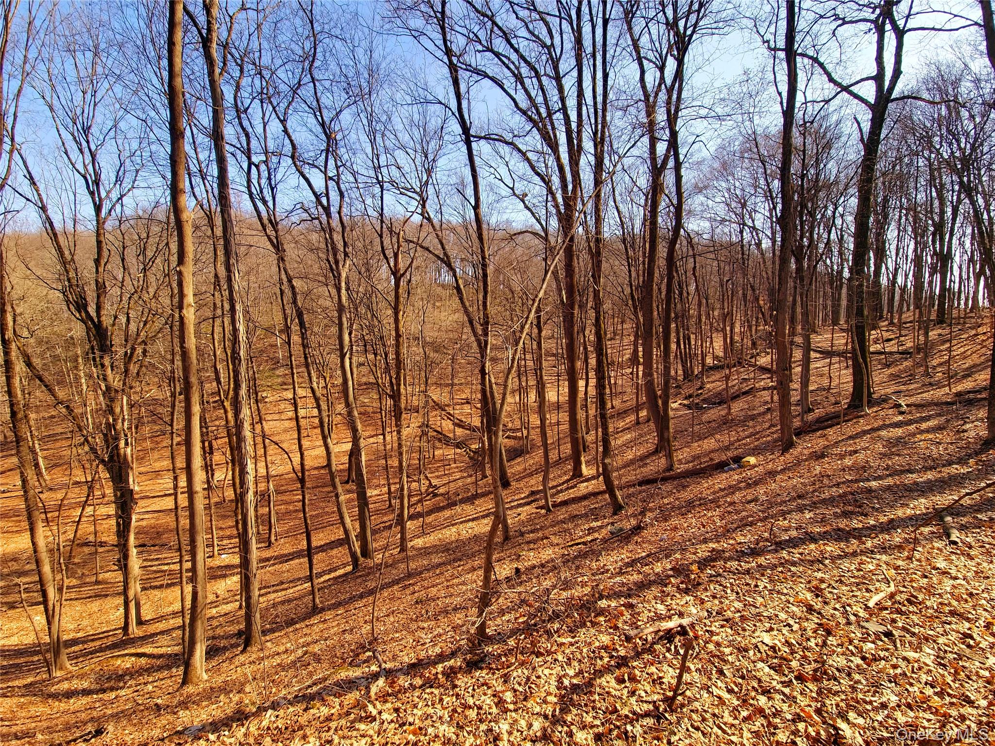 White Street, Highland, NY 12528