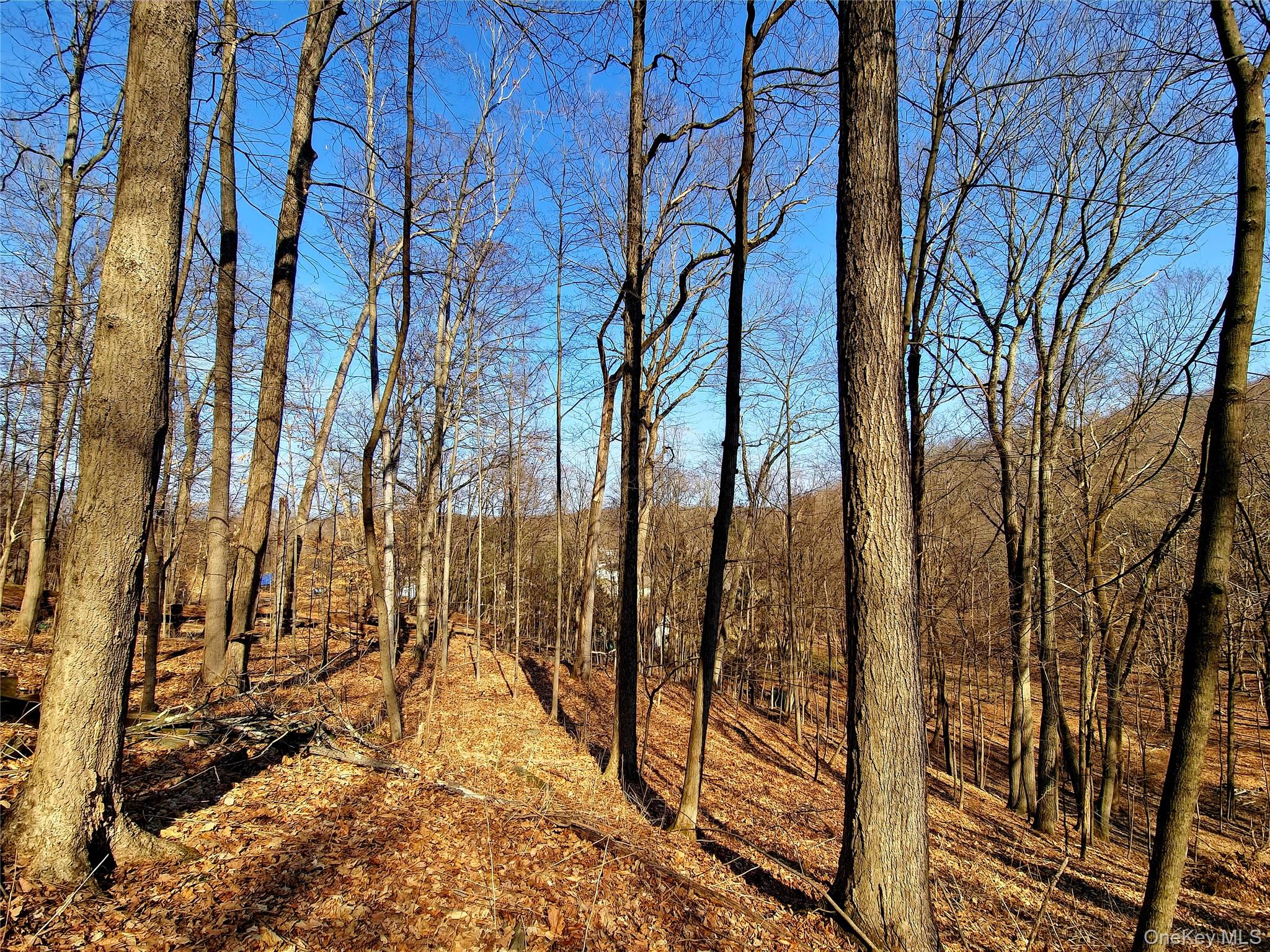 White Street, Highland, NY 12528