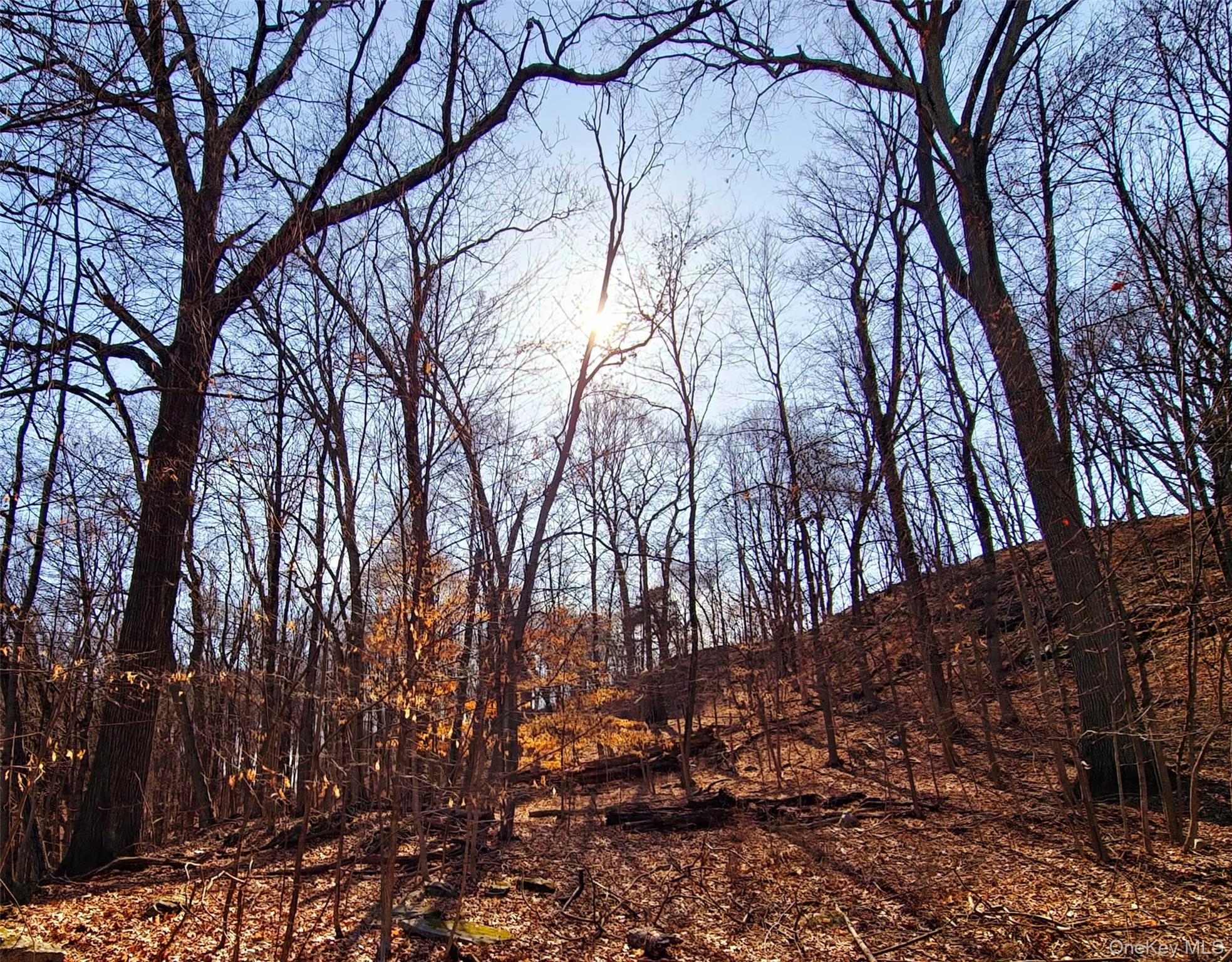 White Street, Highland, NY 12528