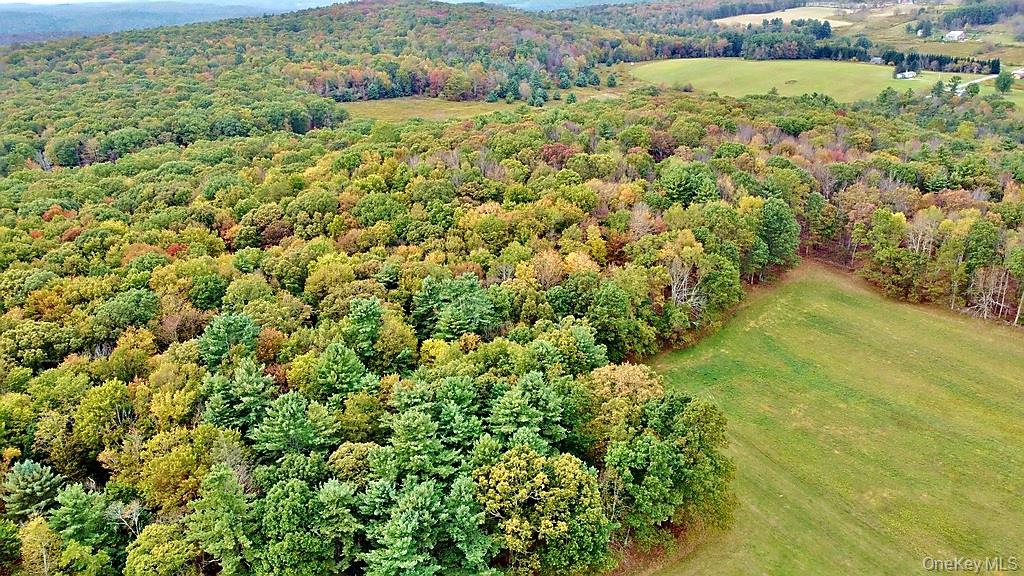 000 Kautz Road, Callicoon, NY 12723