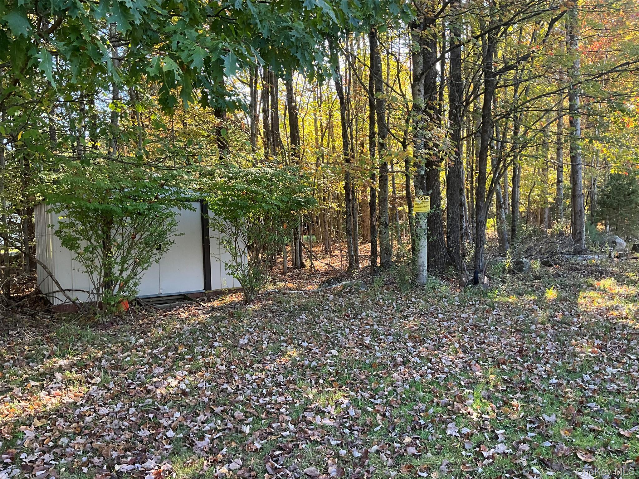 366 Park Hill Road, Mountain Dale, NY 12763