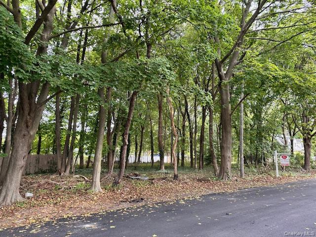 Lot 1 Grant Street, Port Jefferson Station, NY