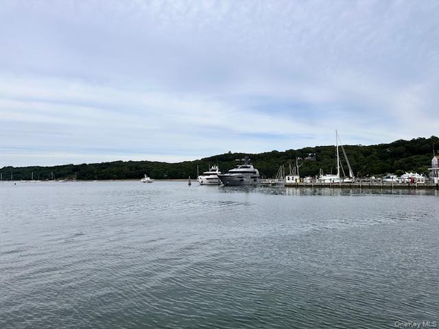 Lot 1 Grant Street, Port Jefferson Station, NY