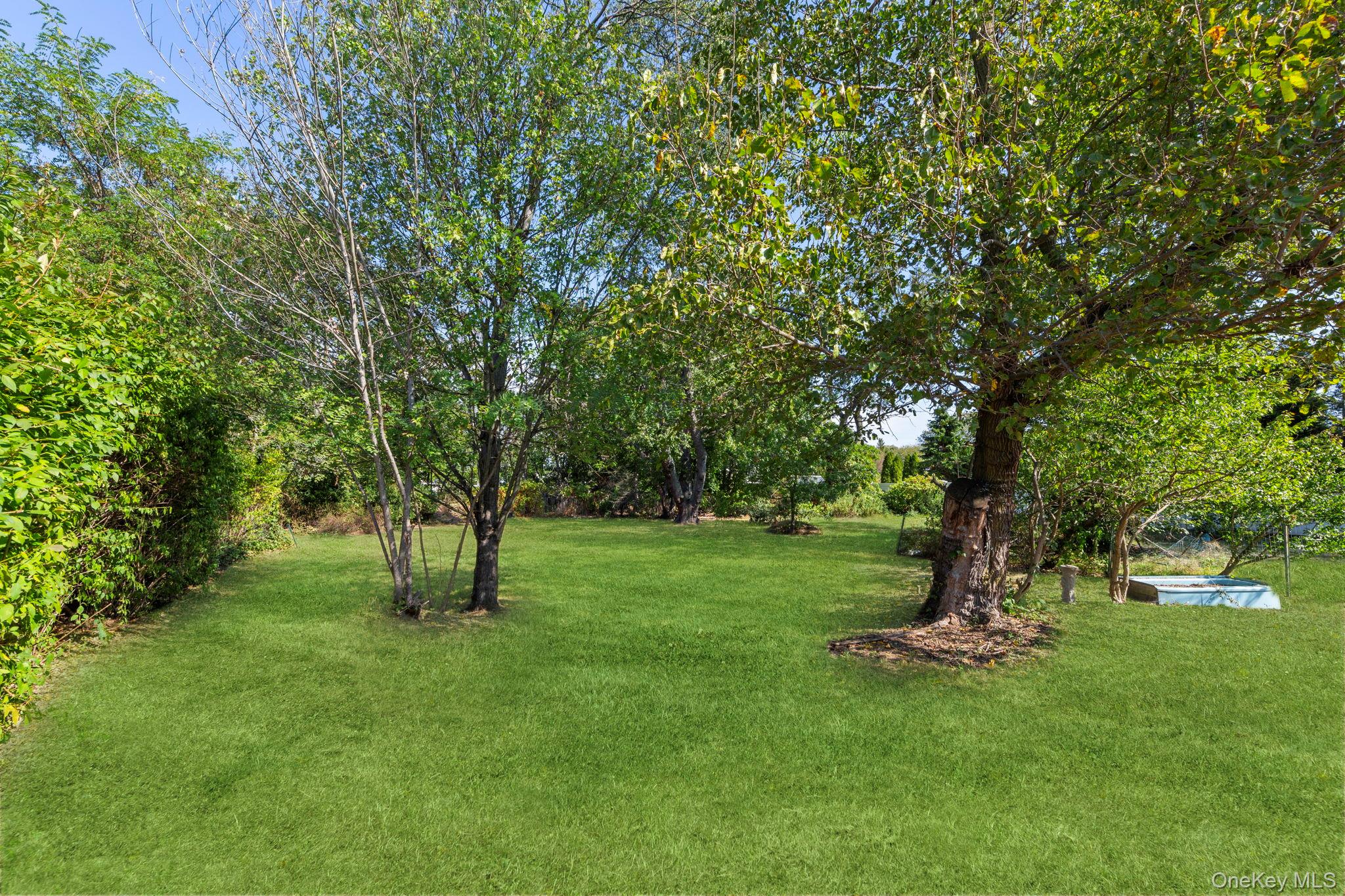 7 Washington Street, Hicksville, NY 11801