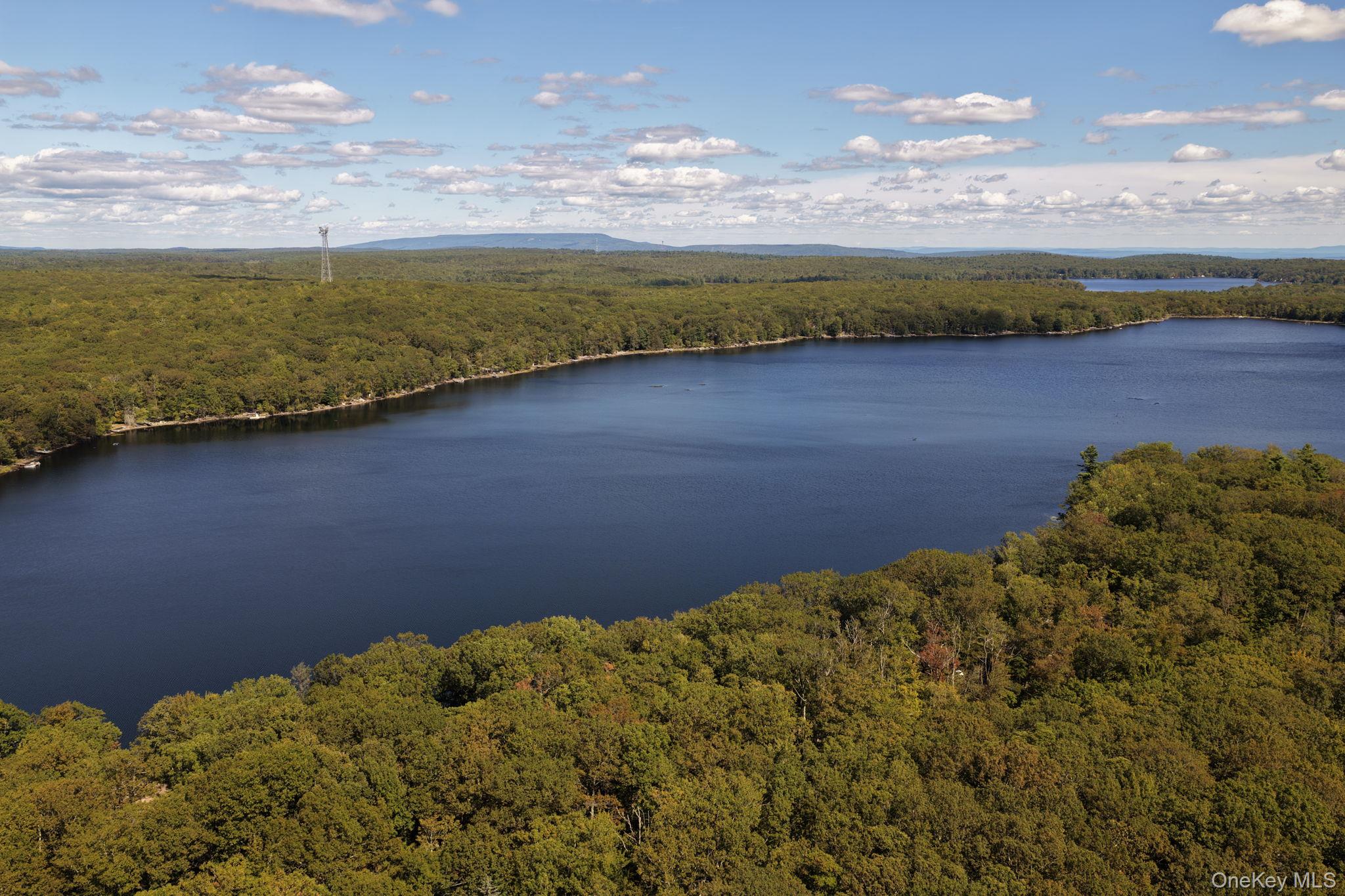 288 S Shore Shore Drive, Wurtsboro, NY 12790