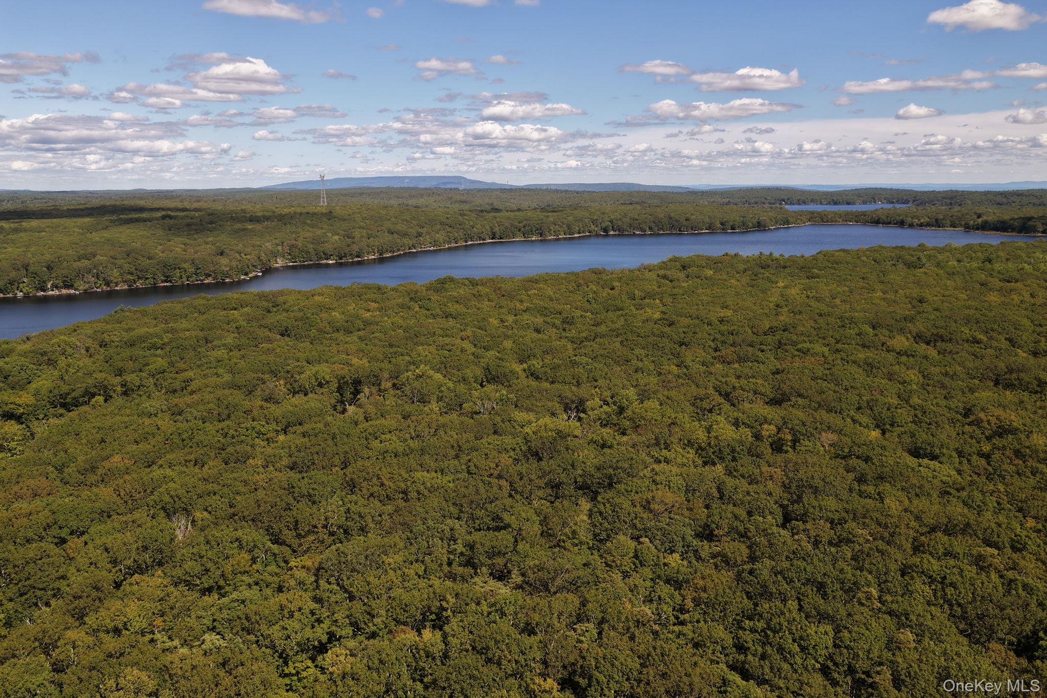 288 S Shore Shore Drive, Wurtsboro, NY 12790