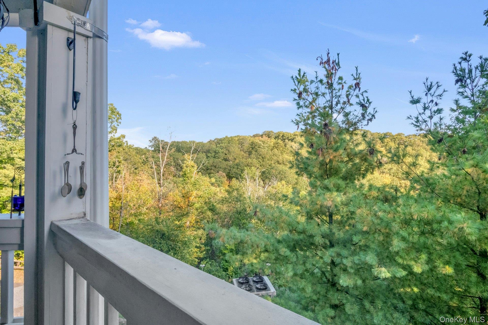 333 N State Road # 55, Briarcliff Manor, NY 10510