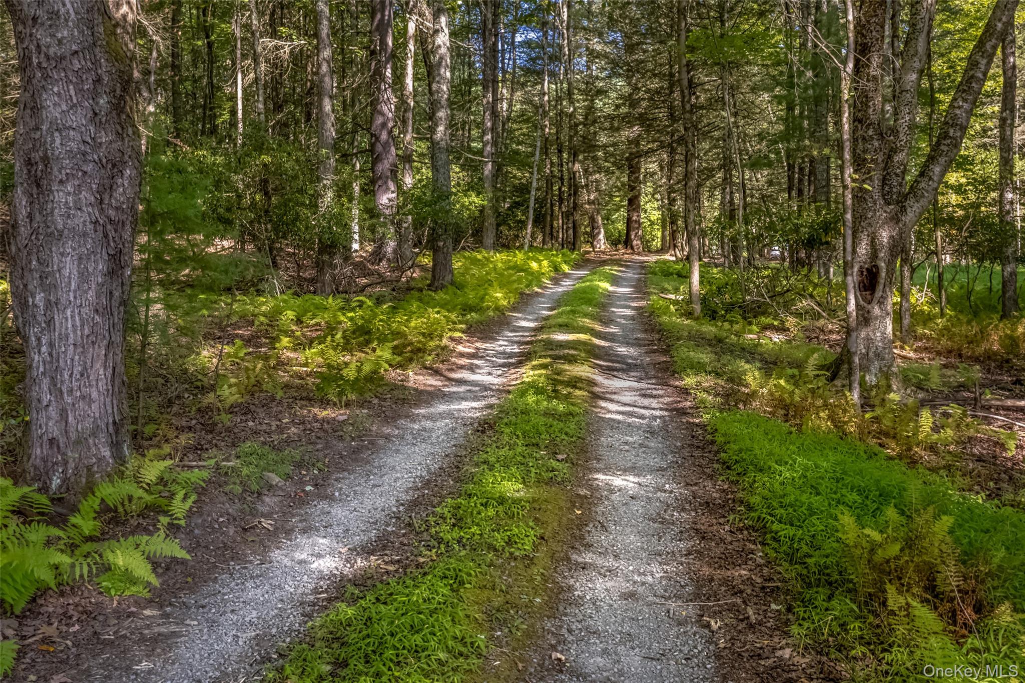 101 Lackawack Hill Road, Napanoch, NY 12458