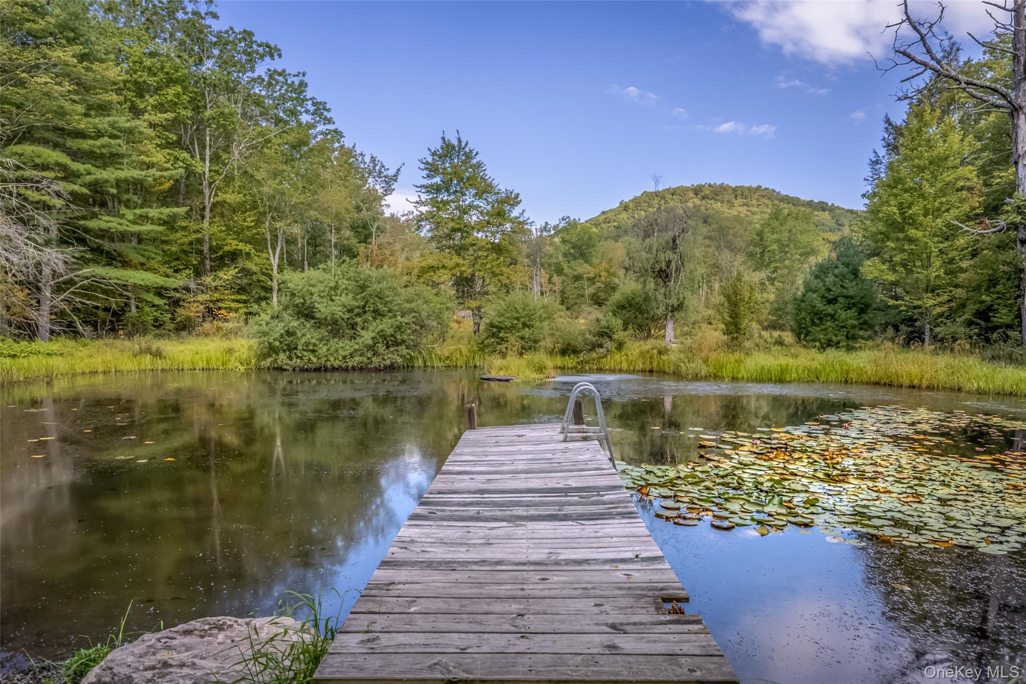 101 Lackawack Hill Road, Napanoch, NY 12458