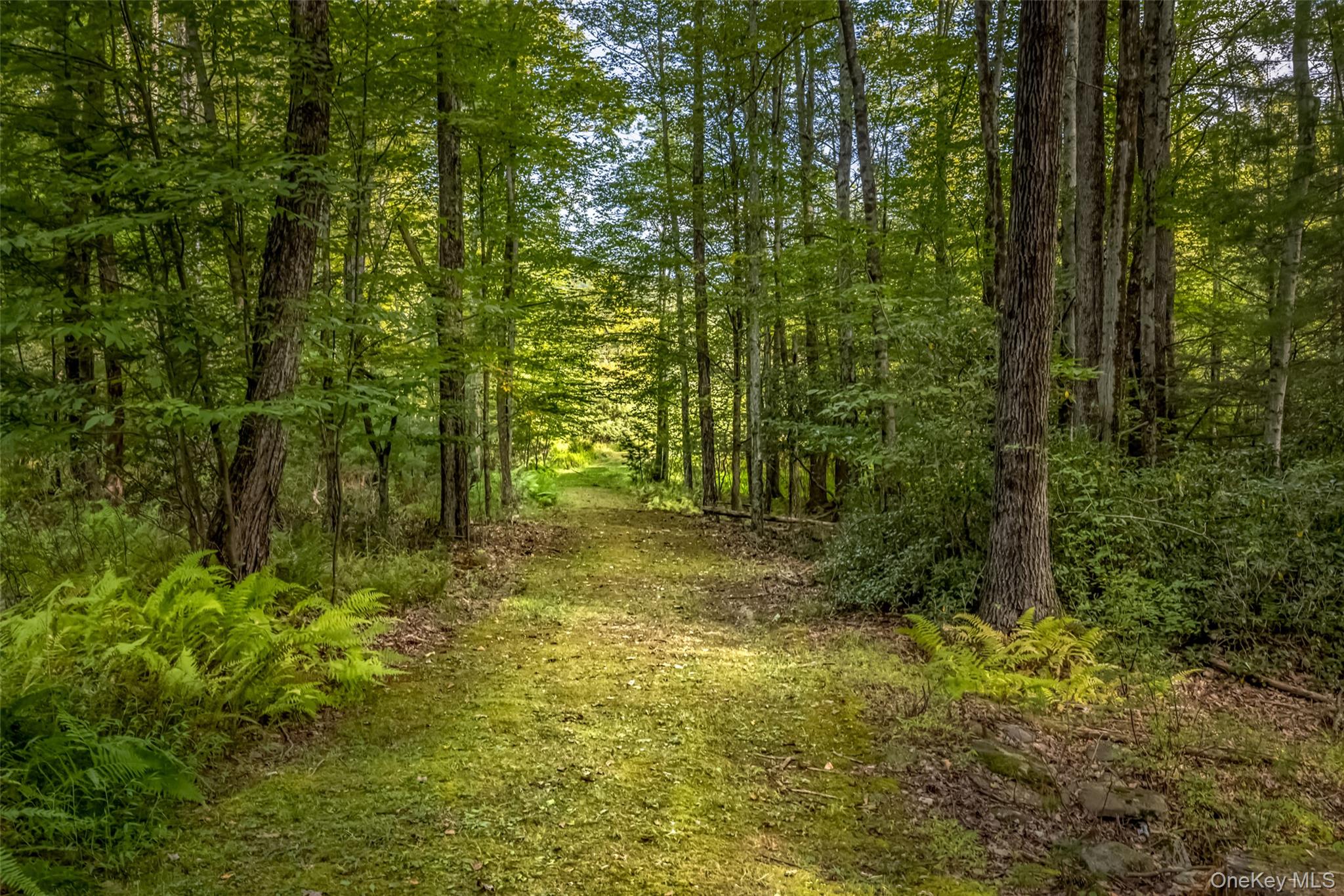 101 Lackawack Hill Road, Napanoch, NY 12458