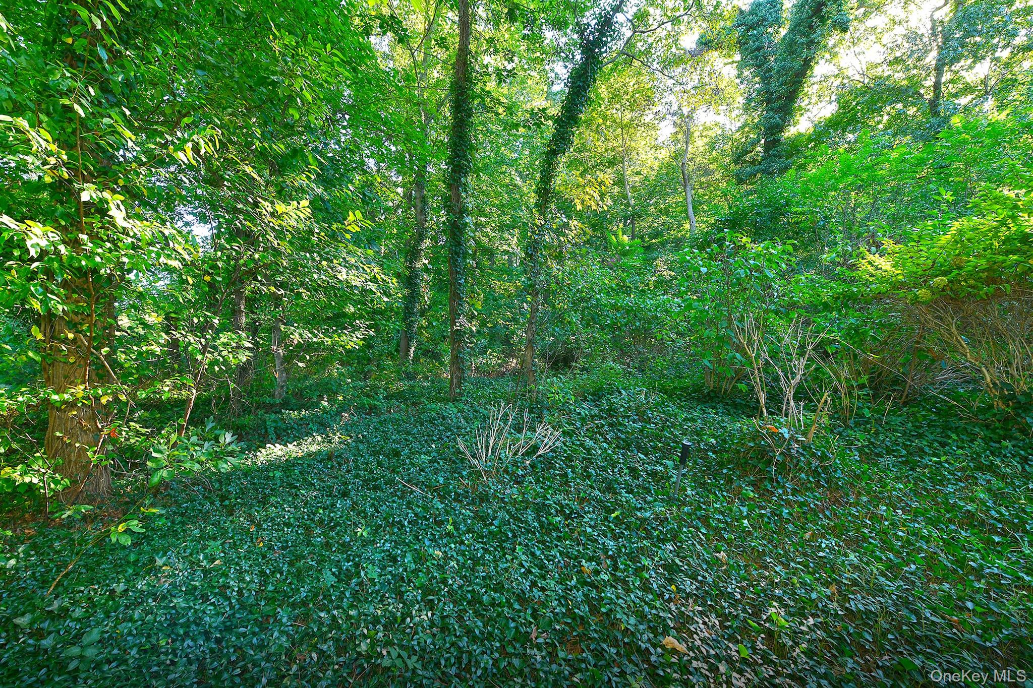 18 W Mall Drive, Huntington, NY 11743