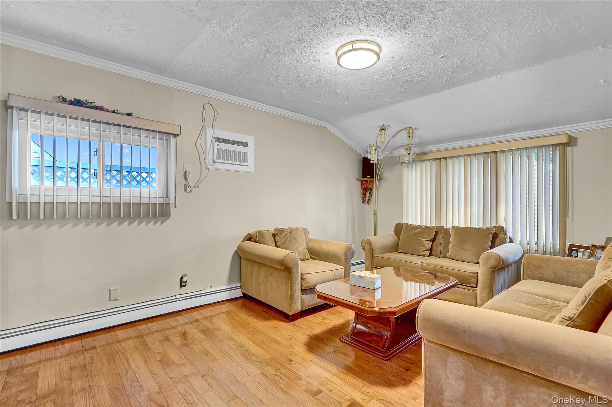 29 Walnut Lane, Hicksville, NY 11801