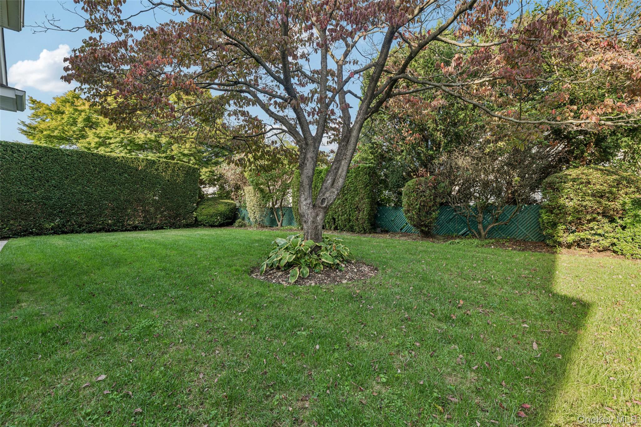 470 Argyle Road, Mineola, NY 11501