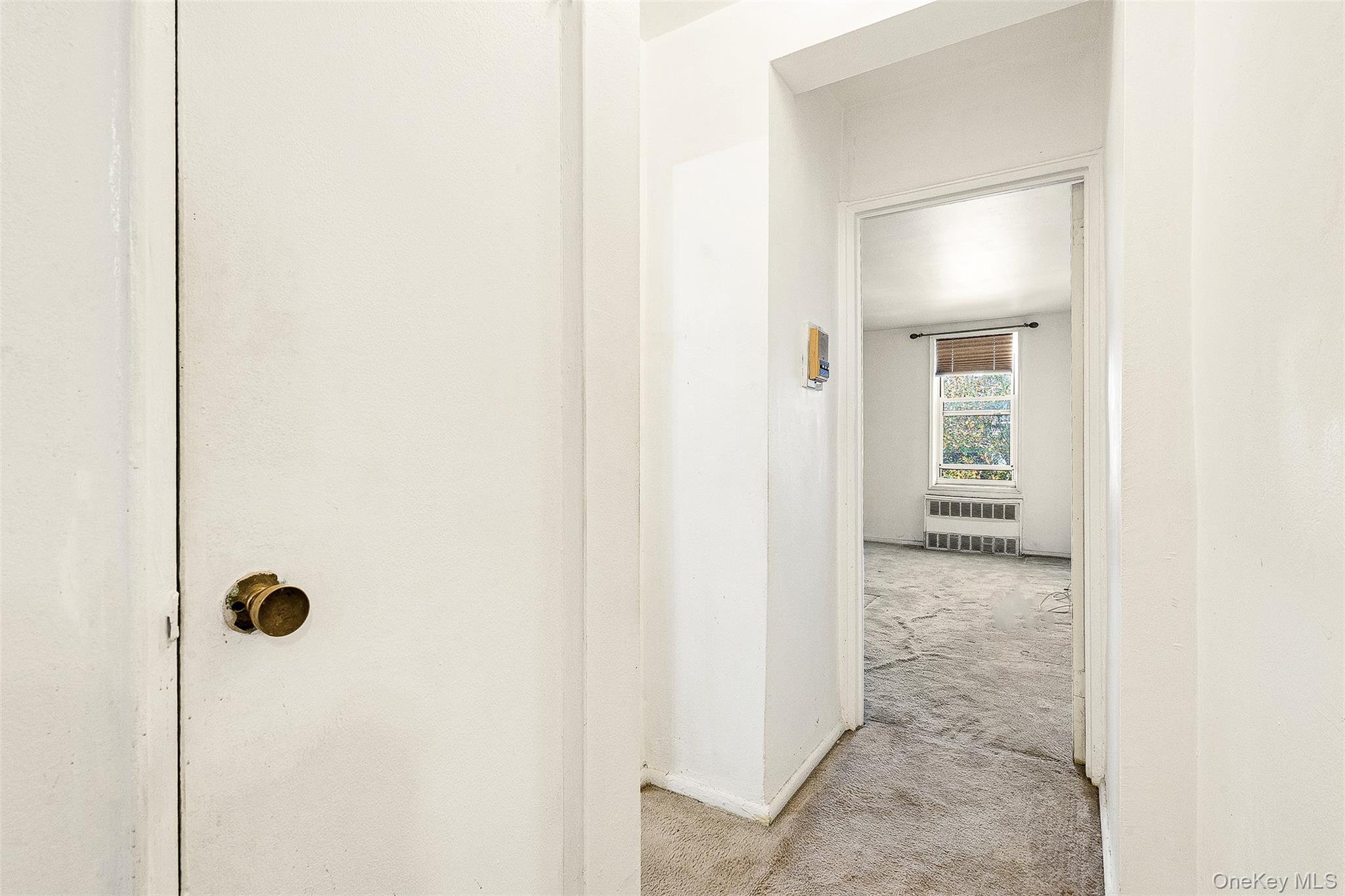 66-10 Thornton Place # 2F, Rego Park, NY 11374