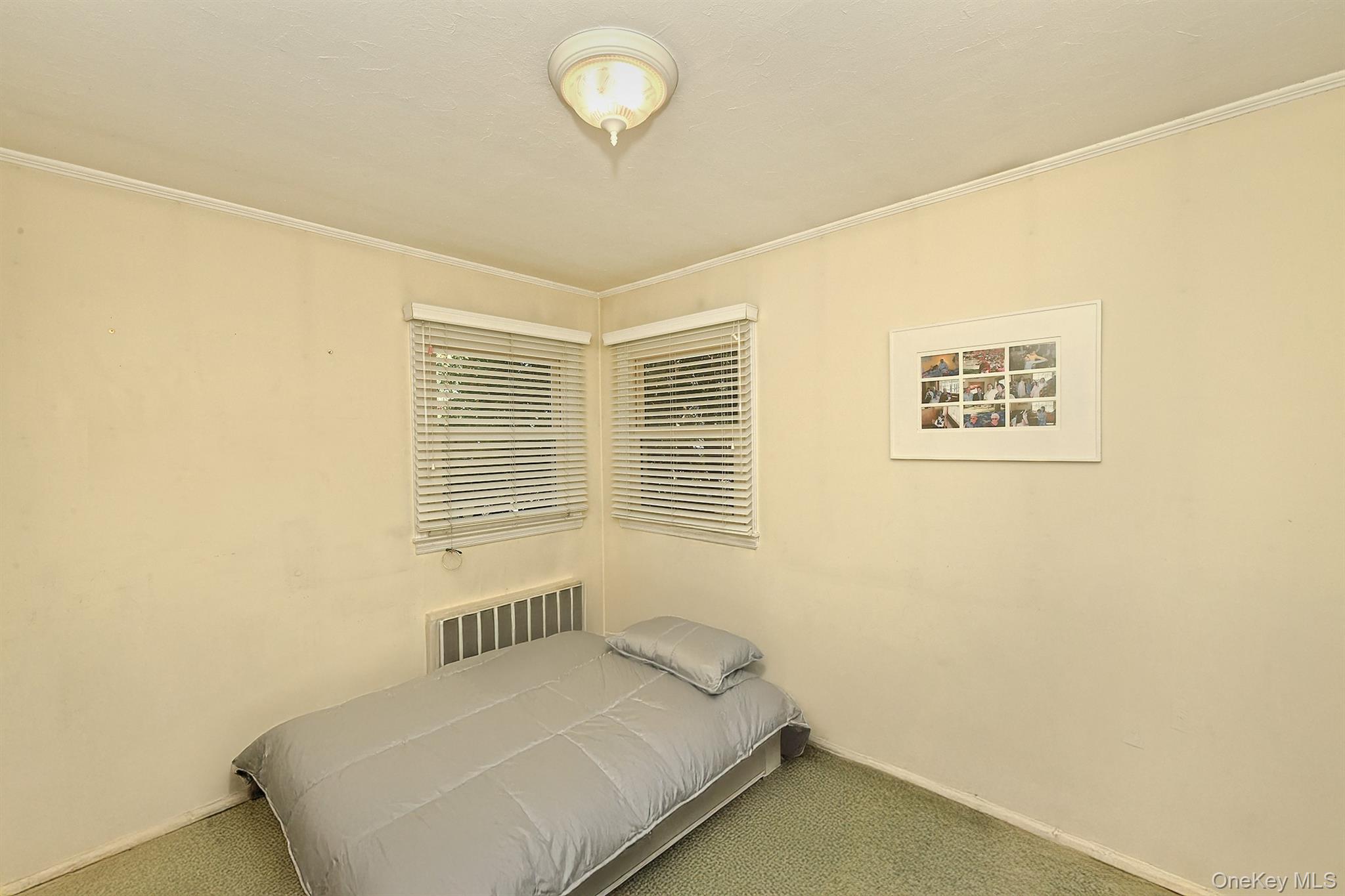 1483 Crown Street, Wantagh, NY 11793