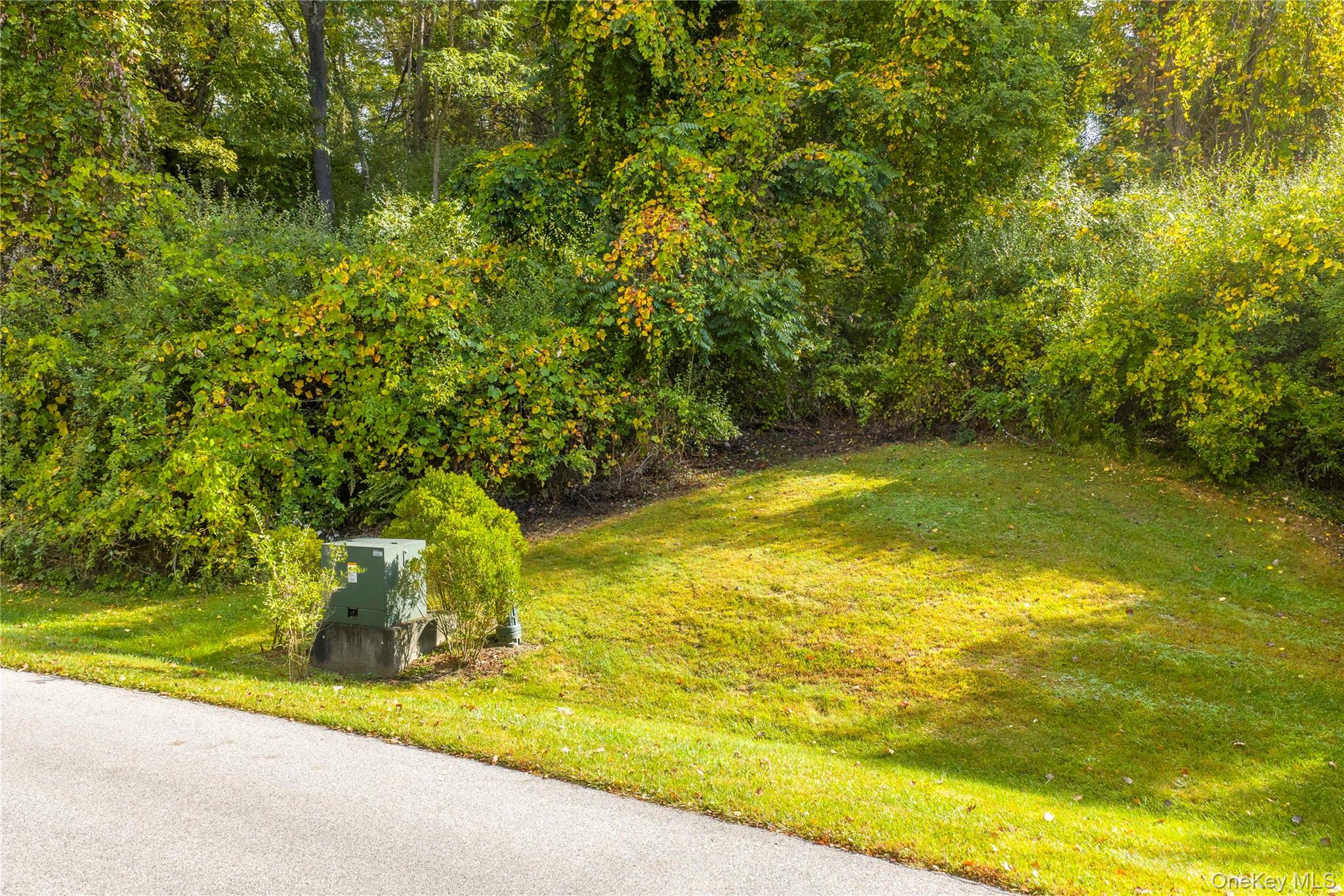 Lot 25 Brady Brook Farm Road, Pawling, NY 12564