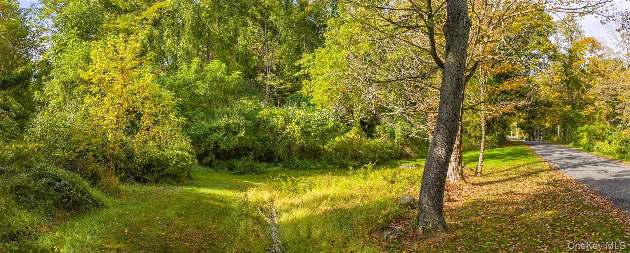 Lot 25 Brady Brook Farm Road, Pawling, NY 12564