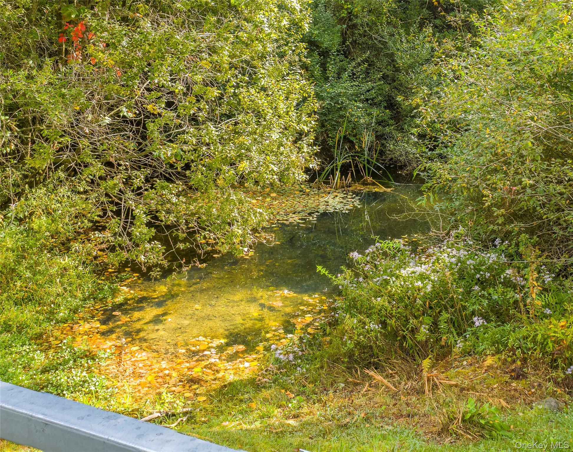 Lot 25 Brady Brook Farm Road, Pawling, NY 12564