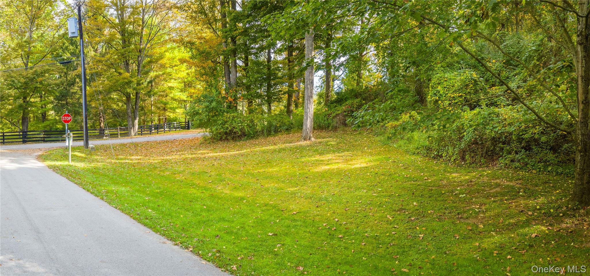 Lot 25 Brady Brook Farm Road, Pawling, NY 12564