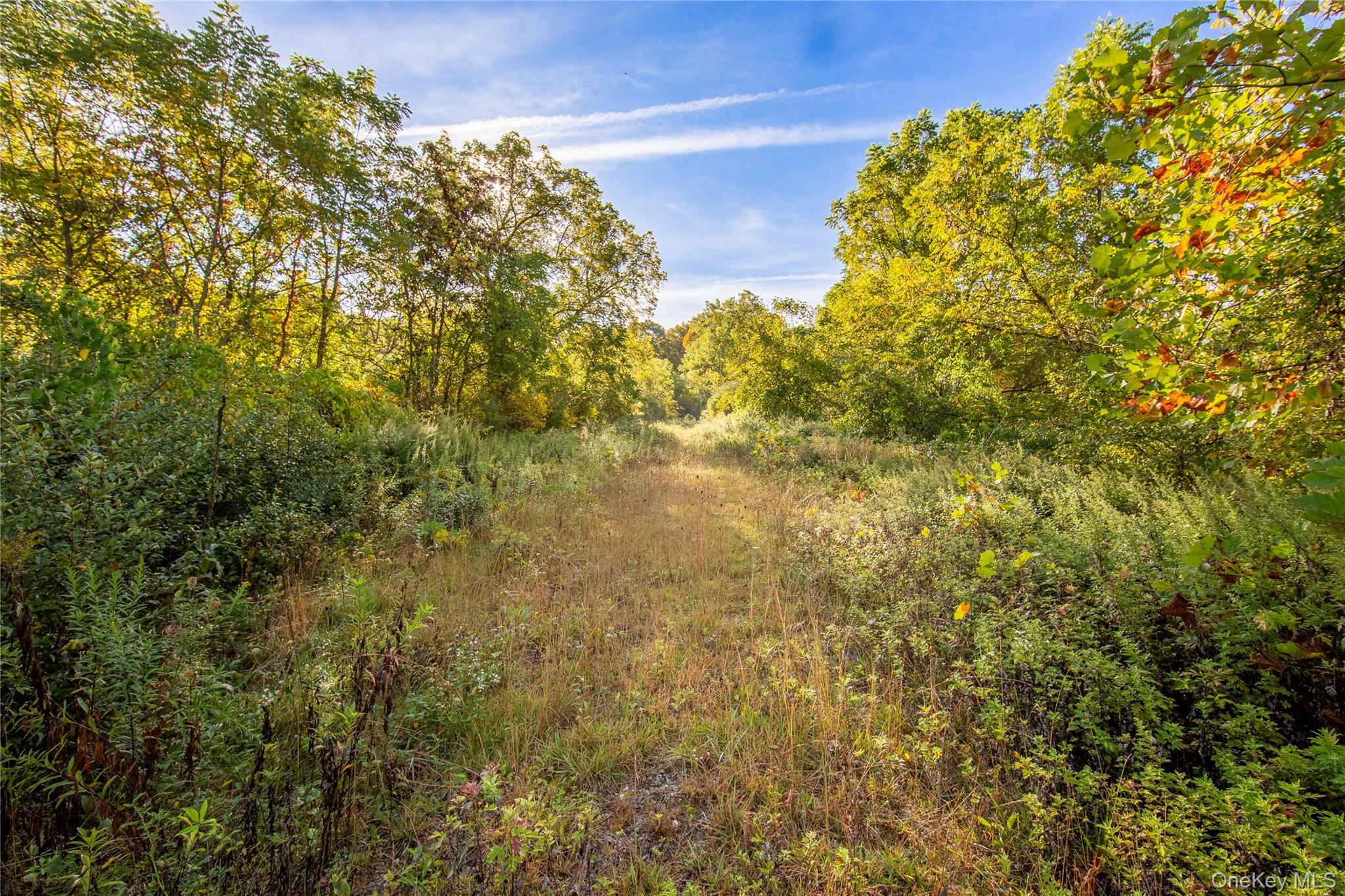 Lot 18 Cox Road, Pawling, NY 12564