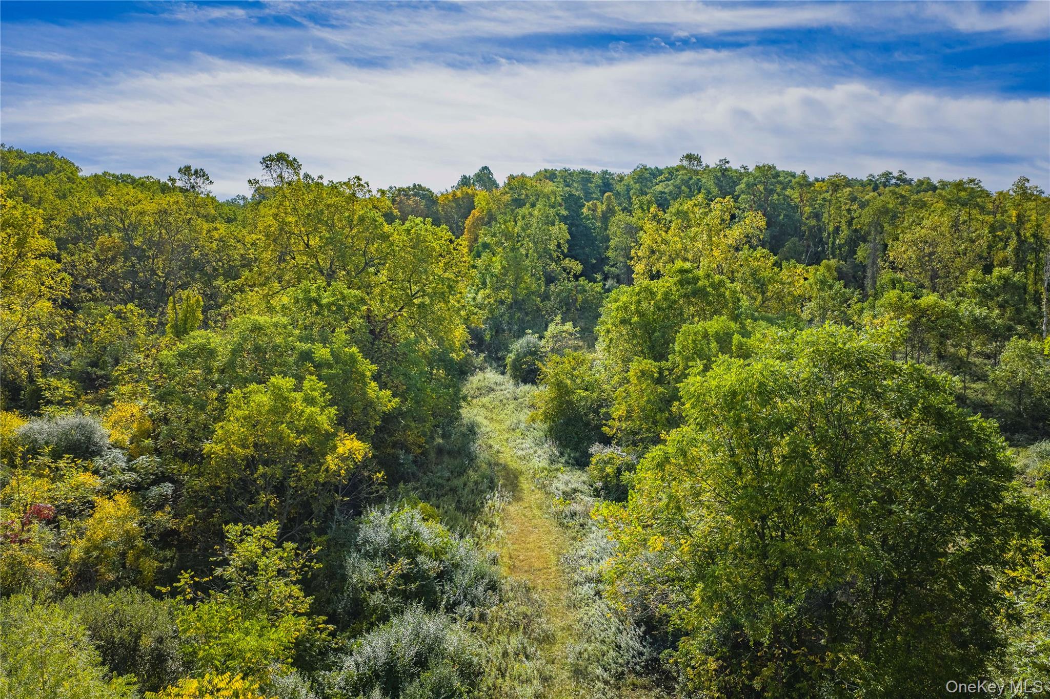 Lot 18 Cox Road, Pawling, NY 12564