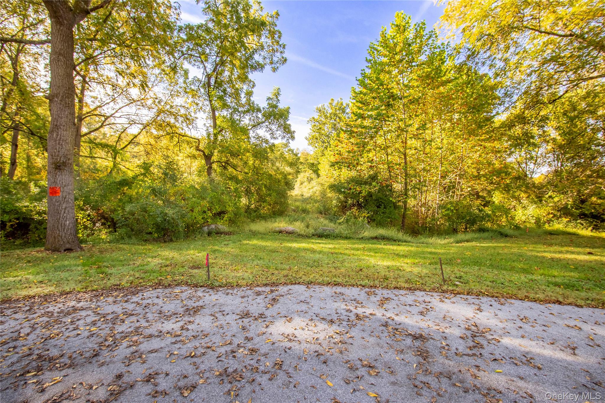 Lot 18 Cox Road, Pawling, NY 12564