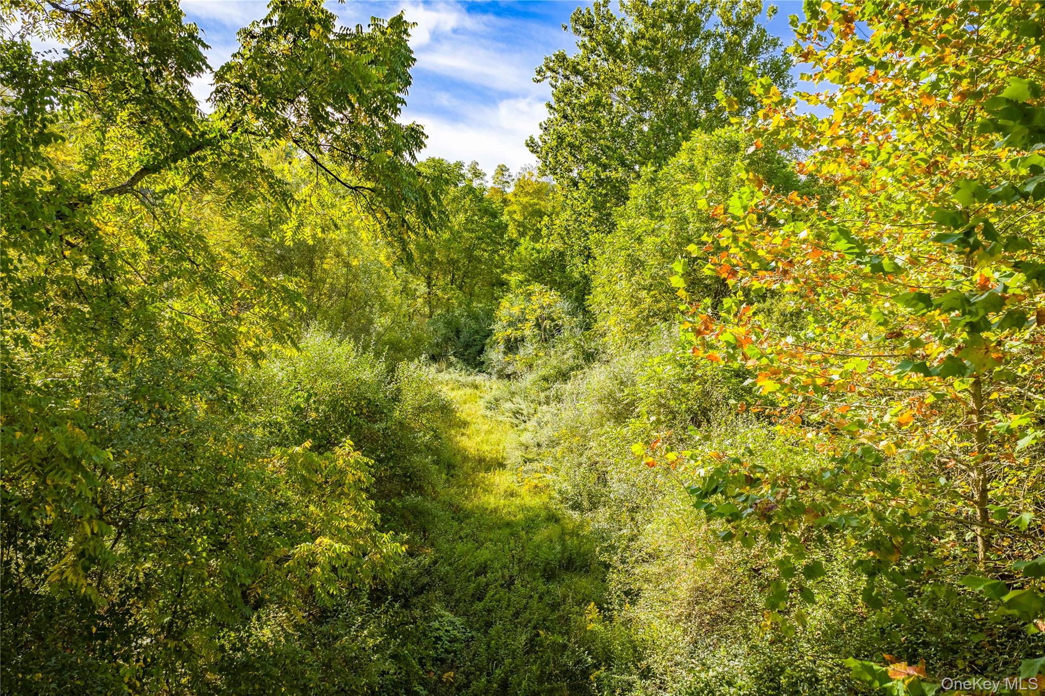 Lot 18 Cox Road, Pawling, NY 12564