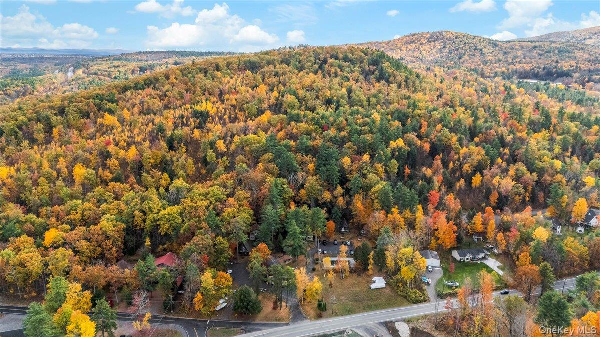 2354 Rt 9n, Lake George, NY 12845