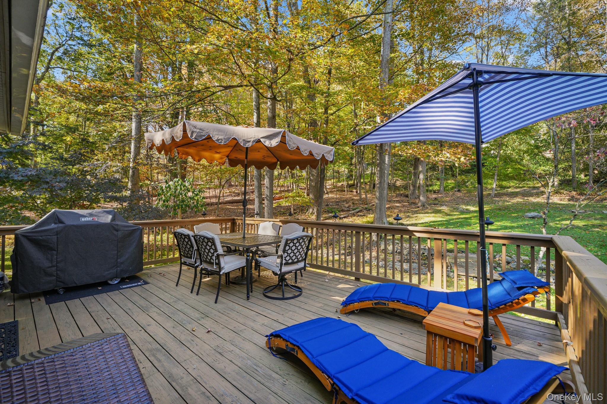 1179 E Mombasha Road, Monroe, NY 10950