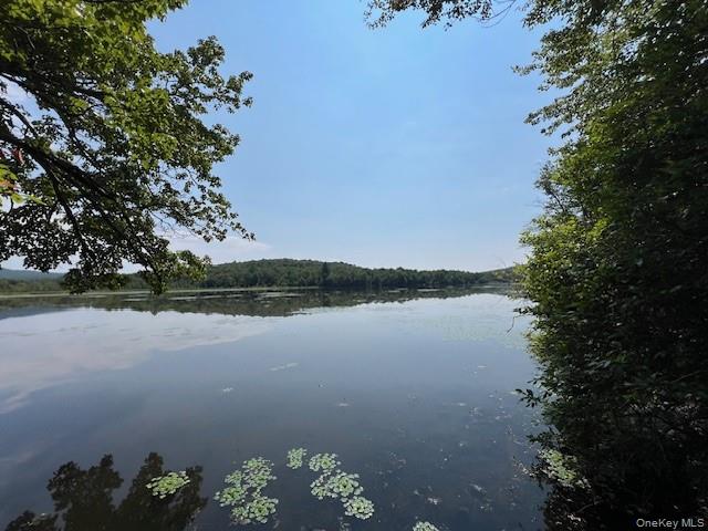 Lot 68 Shore Road, Swan Lake, NY 12783