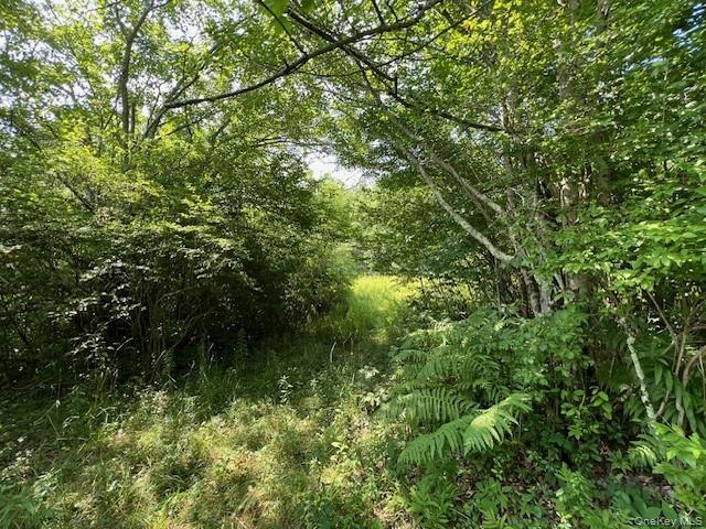 Lot 68 Shore Road, Swan Lake, NY 12783