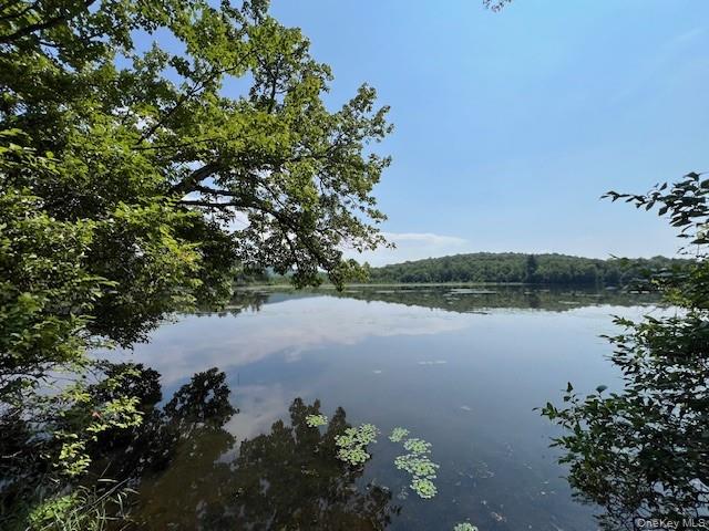 Lot 68 Shore Road, Swan Lake, NY 12783