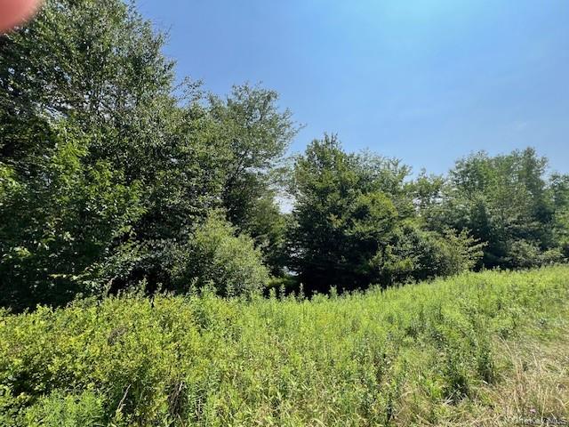 Lot 68 Shore Road, Swan Lake, NY 12783