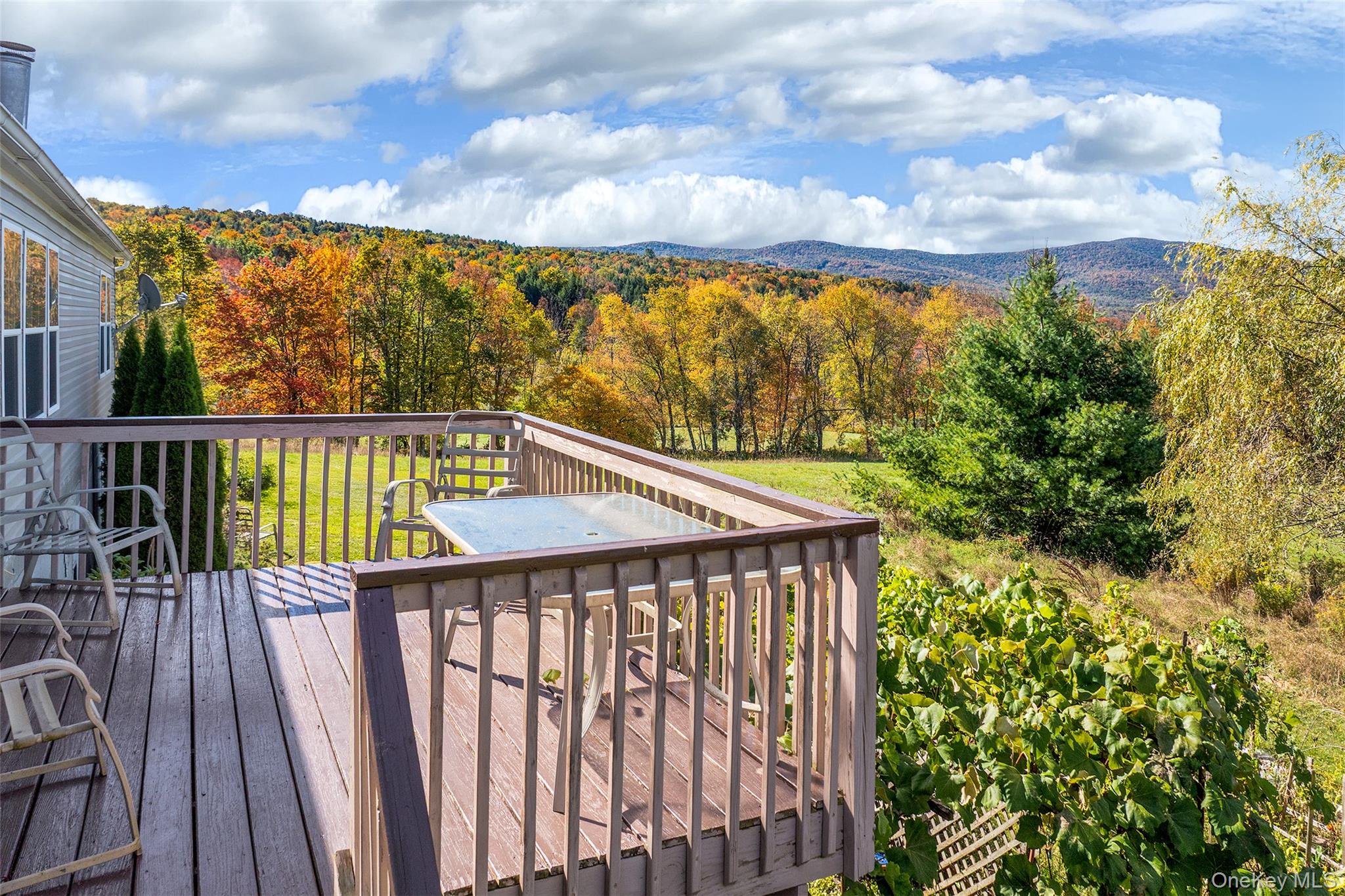 936 Potter Mountain Road, Gilboa, NY 12076